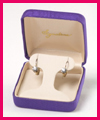 hoopearringbox